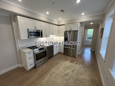 Brighton 2 Beds 1 Bath Boston - $3,350 No Fee