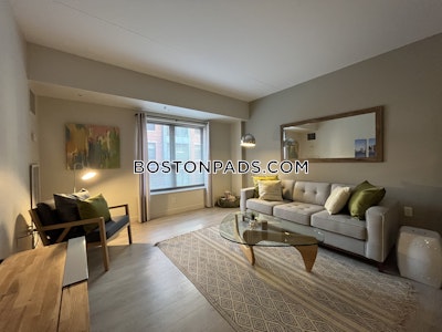 South End Luxury 1 Bed 1 Bath on Harrison Ave. in South End  Boston - $3,095