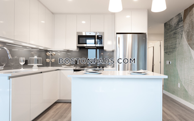 West End 2 bedroom  Luxury in BOSTON Boston - $10,649