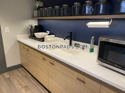 Allston Luxury Living 1 Bedroom Apartments Boston - $2,990
