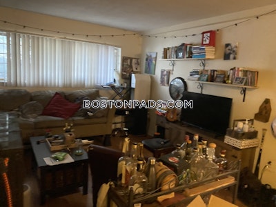 Allston Cute 2 Beds 1 Bath Boston - $2,600