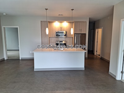 Jamaica Plain 2 bedroom  baths Luxury in BOSTON Boston - $3,875