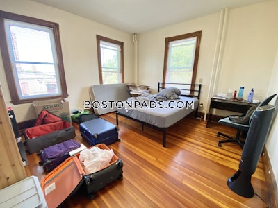 Mission Hill Apartment for rent 3 Bedrooms 1 Bath Boston - $5,000