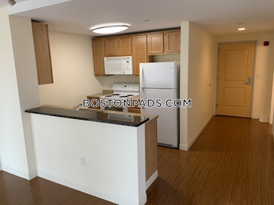 Dorchester Apartment for rent 2 Bedrooms 2 Baths Boston - $3,458 No Fee