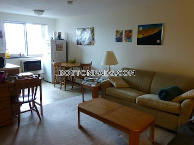 Cambridge Apartment for rent Studio 1 Bath  Davis Square - $2,100 No Fee