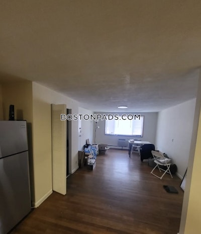 Brookline Apartment for rent 2 Bedrooms 1 Bath  Boston University - $2,995 No Fee